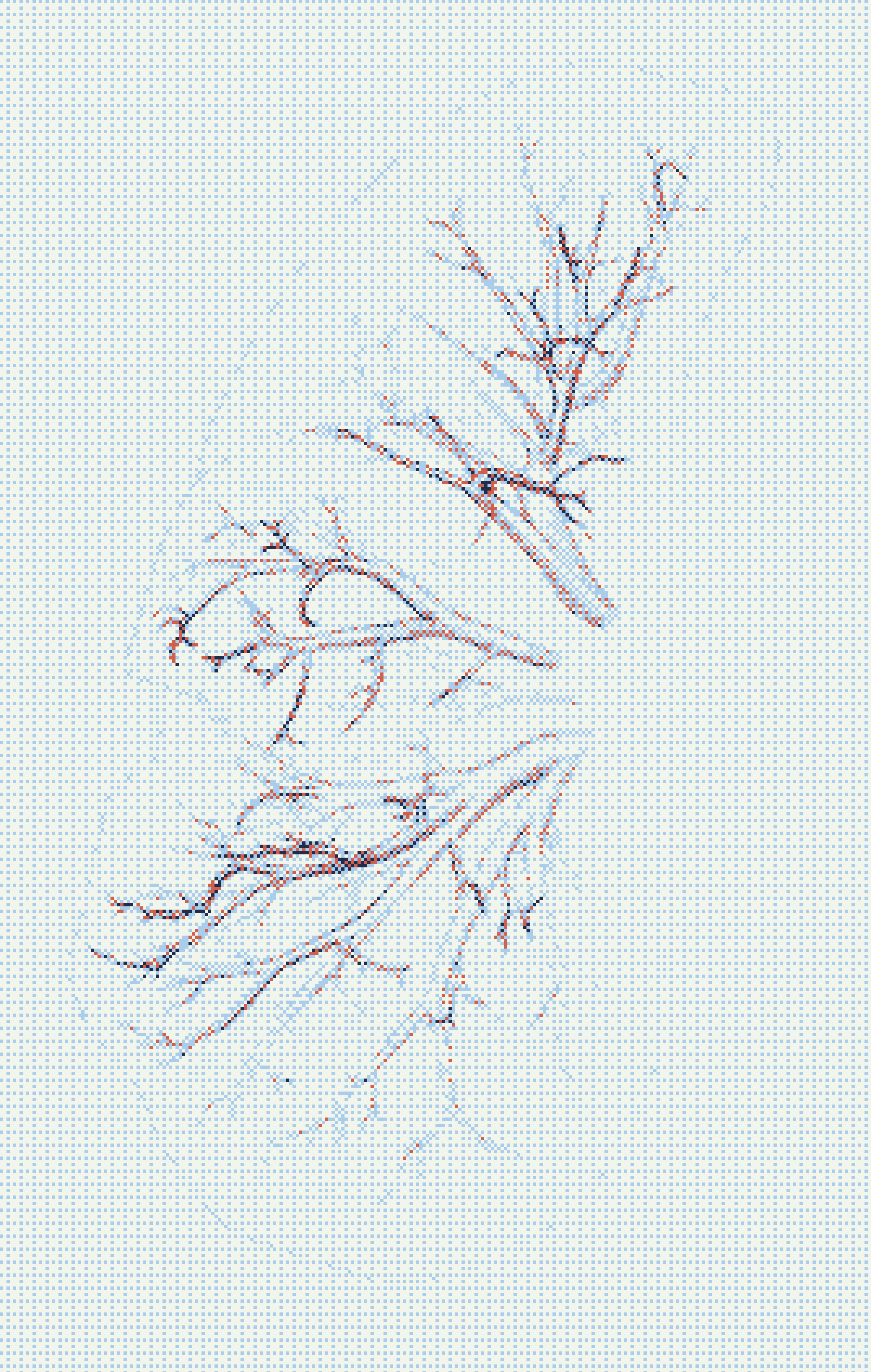 Fibrotic tissue visualisation