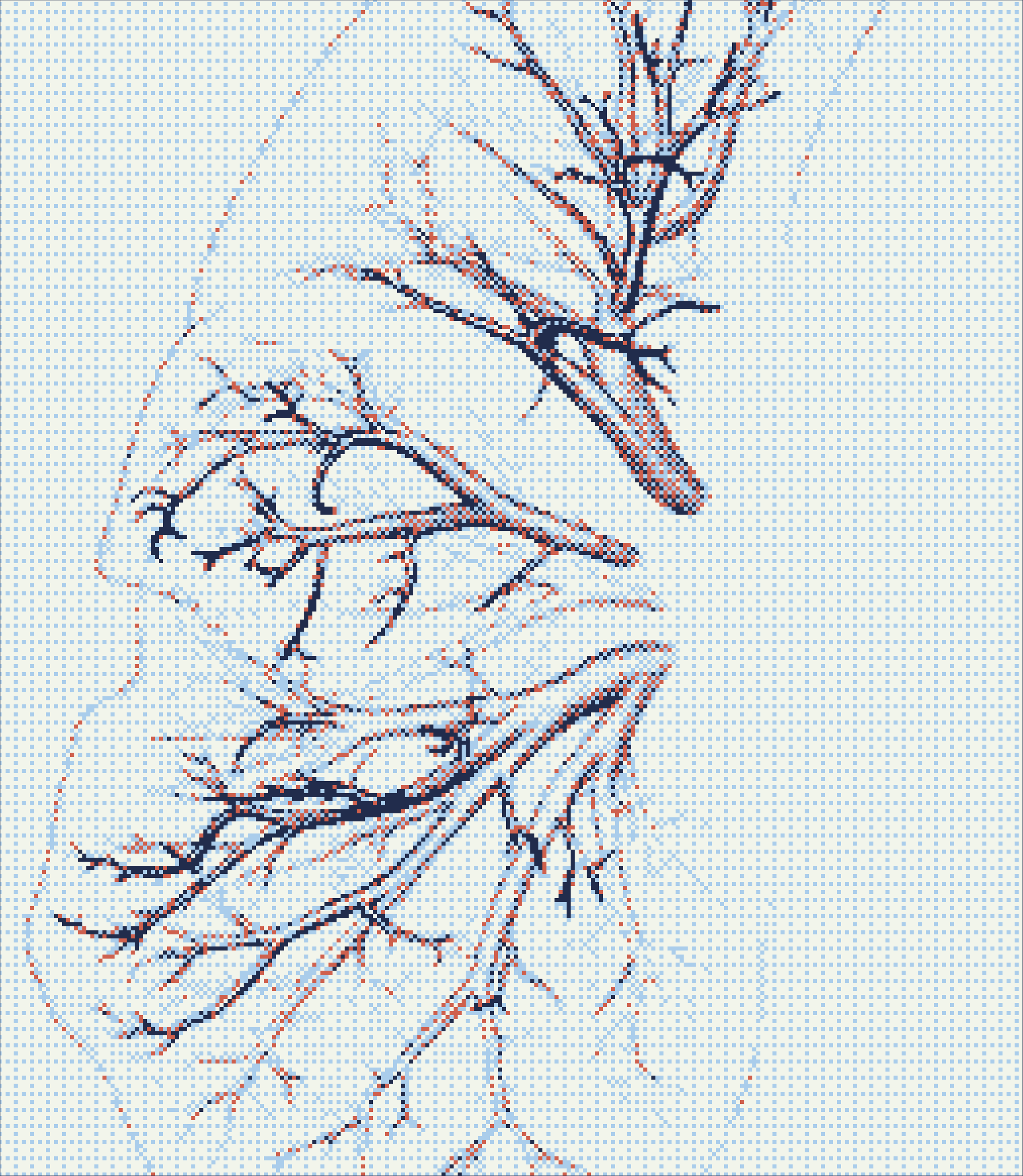 Fibrotic lung visualisation