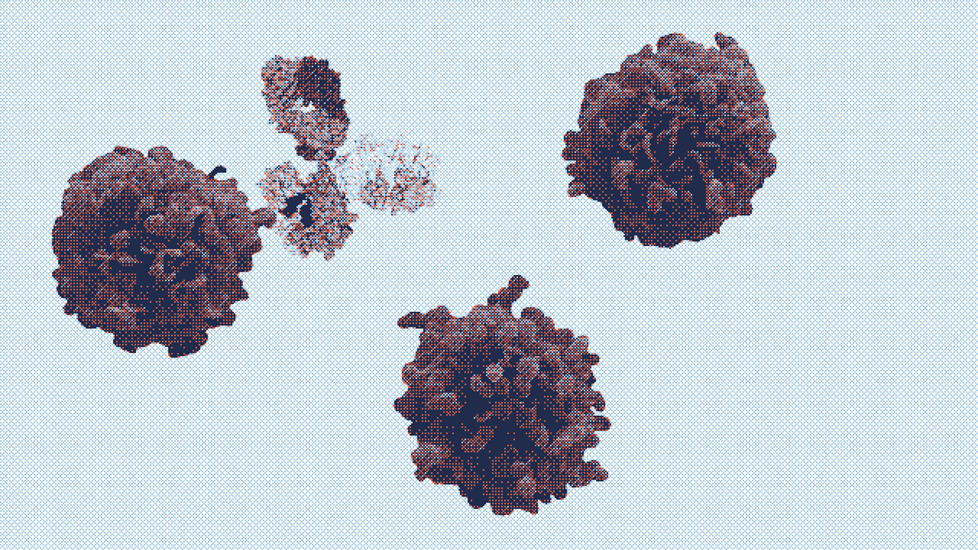 Senescent cell visualisation